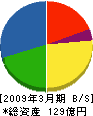 東日本システム建設 貸借対照表 2009年3月期