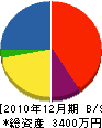 東栄 貸借対照表 2010年12月期