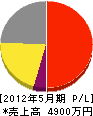 シロヤマ 損益計算書 2012年5月期