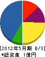 ヤマナカ電気 貸借対照表 2012年5月期