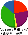 松井土石興業 貸借対照表 2012年9月期