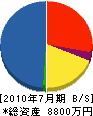 貞広住設 貸借対照表 2010年7月期