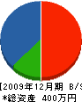 須田造園 貸借対照表 2009年12月期