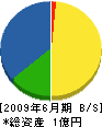 宮嶋建設 貸借対照表 2009年6月期