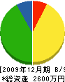 齊藤畳店 貸借対照表 2009年12月期