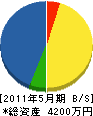 坂井電気 貸借対照表 2011年5月期