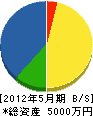 松嵜組 貸借対照表 2012年5月期