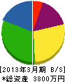 三栄工業 貸借対照表 2013年3月期