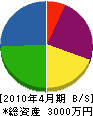 佐原電気 貸借対照表 2010年4月期