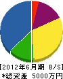 主田工業 貸借対照表 2012年6月期