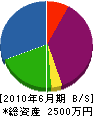 岡田電機 貸借対照表 2010年6月期