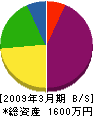 篠田塗装 貸借対照表 2009年3月期