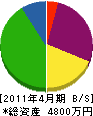 小笠原水道 貸借対照表 2011年4月期