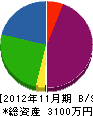 サンリツ電機 貸借対照表 2012年11月期