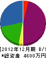 光栄開発 貸借対照表 2012年12月期