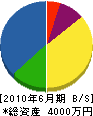 新川電工舎 貸借対照表 2010年6月期