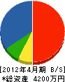 松＊商会 貸借対照表 2012年4月期