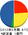 松倉工業 貸借対照表 2012年6月期