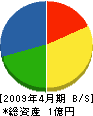 横田塗装店 貸借対照表 2009年4月期