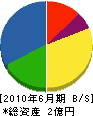 上谷田建設 貸借対照表 2010年6月期