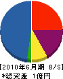 田島建設 貸借対照表 2010年6月期