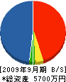 高千穂産業 貸借対照表 2009年9月期