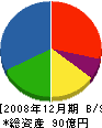 ホシザキ東京 貸借対照表 2008年12月期