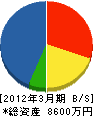 藤田総業 貸借対照表 2012年3月期