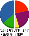 樋沢産業 貸借対照表 2012年3月期