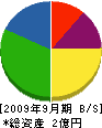 東亜 貸借対照表 2009年9月期