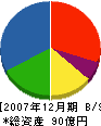 ホシザキ東京 貸借対照表 2007年12月期