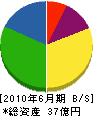 東武商事 貸借対照表 2010年6月期