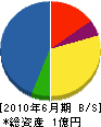 原川商店 貸借対照表 2010年6月期
