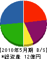 高千穂 貸借対照表 2010年5月期