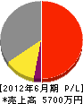 永井組 損益計算書 2012年6月期
