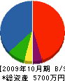 大洋石材 貸借対照表 2009年10月期