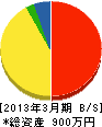 縄田技建 貸借対照表 2013年3月期