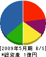 神田組 貸借対照表 2009年5月期