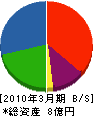 竹本建設 貸借対照表 2010年3月期