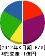 小澤忠商店 貸借対照表 2012年6月期