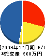 東成土木 貸借対照表 2009年12月期