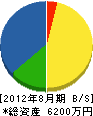 ＊橋電工 貸借対照表 2012年8月期