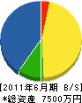 稲村建設 貸借対照表 2011年6月期