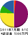 新栄電気 貸借対照表 2011年7月期