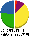 大島建設 貸借対照表 2010年9月期