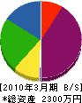 青松建設 貸借対照表 2010年3月期