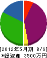 森電気商会 貸借対照表 2012年5月期