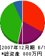 大槻設備 貸借対照表 2007年12月期