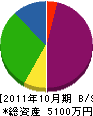 山口総合建設 貸借対照表 2011年10月期