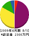 ヤナミ産業開発 貸借対照表 2009年4月期